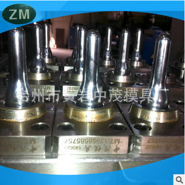 Beverage bottle blank mould