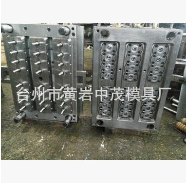 24-in-1 bottle blank mould