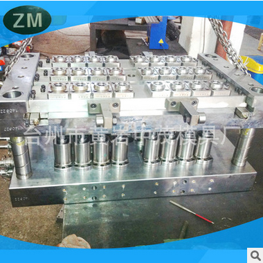 24-in-1 bottle blank mould