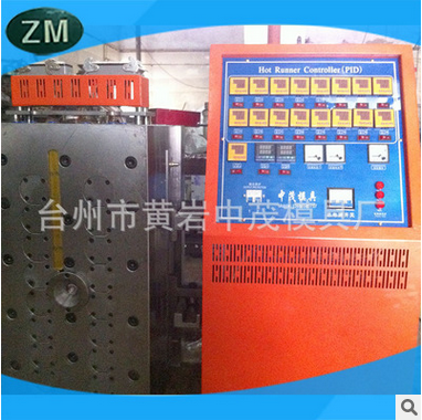 Bottle blank mould with hot runner