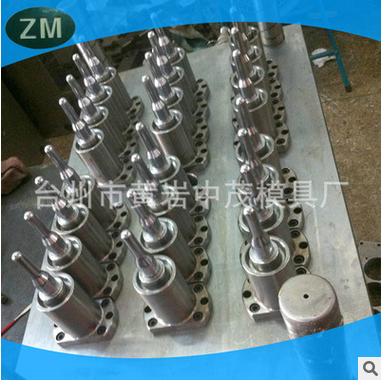 24-in-1 bottle blank mould