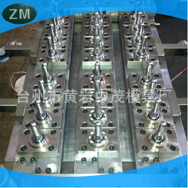24-in-1 bottle blank mould